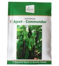 Brinjal Ajeet Commander